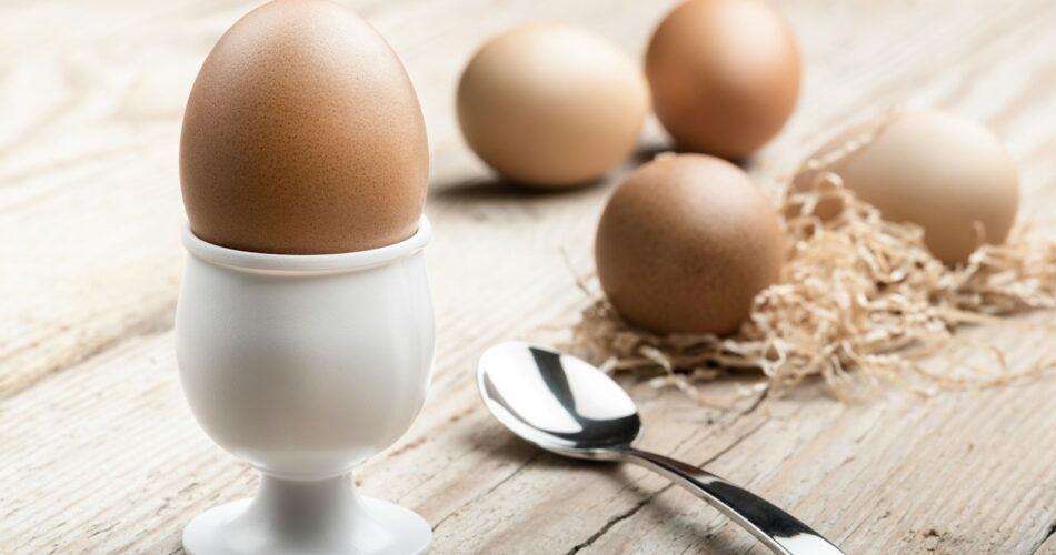 white ceramic egg holding near spoon